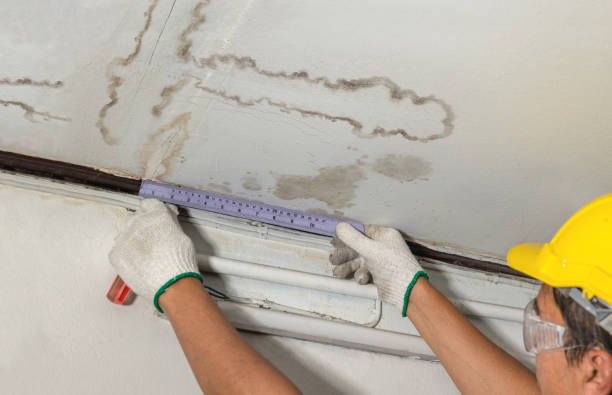 Reliable Emergency Water Damage Restoration contractor in Pleasanton, CA by Water Damage Irwin